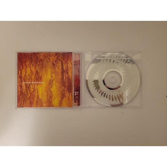 Nine Inch Nails Downward Spiral Japanese Import - Picture 6 of 13